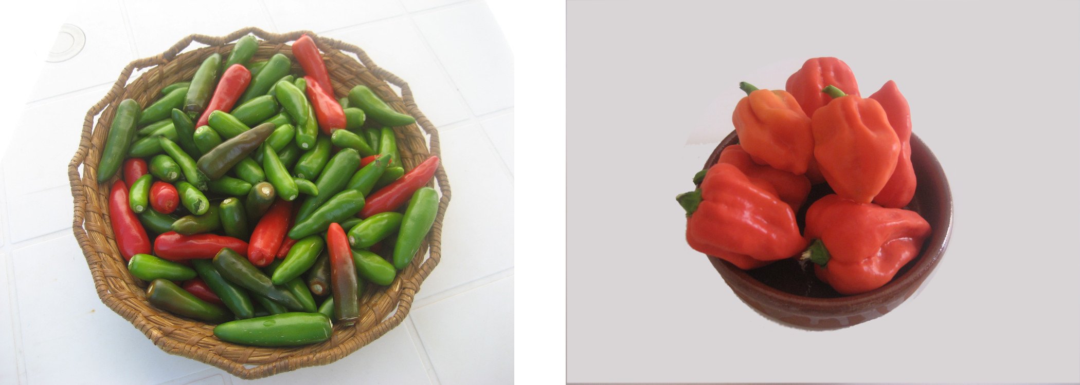 elaboració